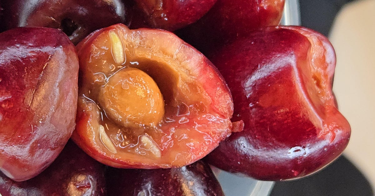 Fresh cherries infested with European cherry fruit fly found at DTW 