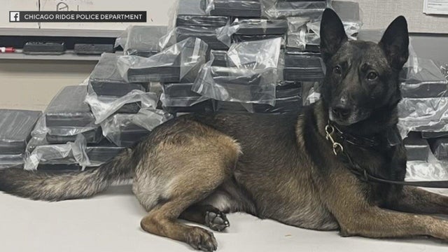 072525-k9-drug-bust-clean.jpg 