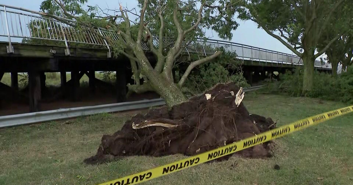 Storms cause damage across Tri-State Area as parts of region see record heat 
