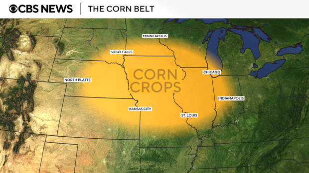 corn-belt.png 