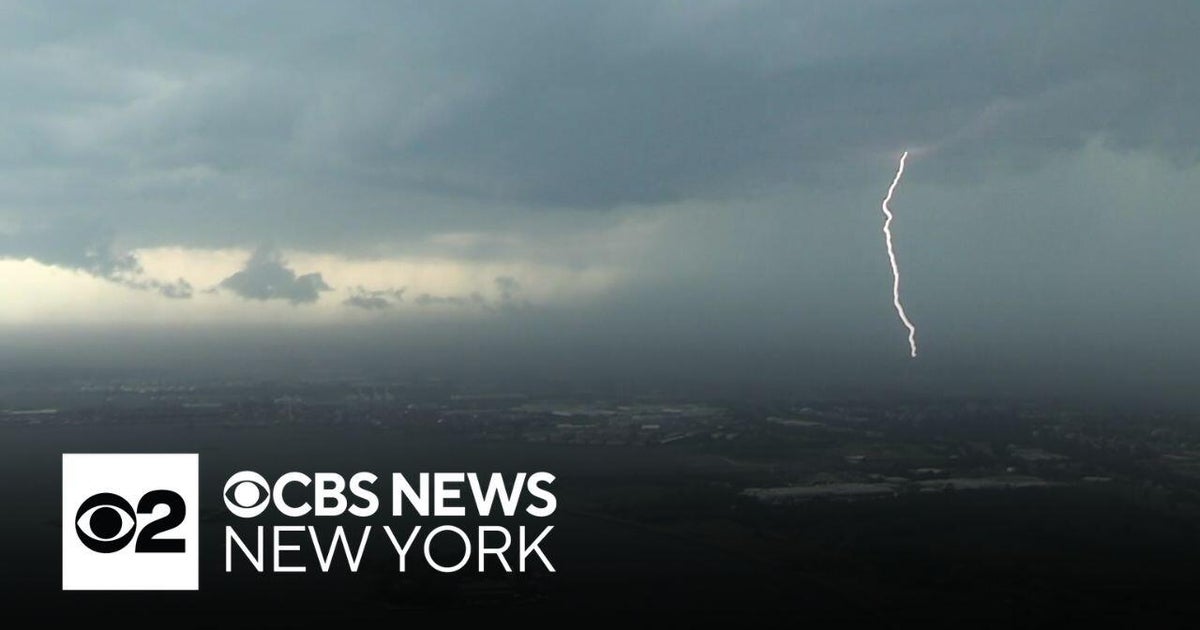 Storms bring down trees cause - 132e287c9ea497d589b4bedcbe933ea2