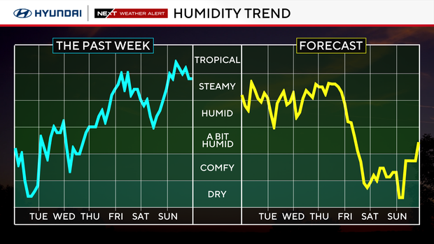 dew-point-trend.png 