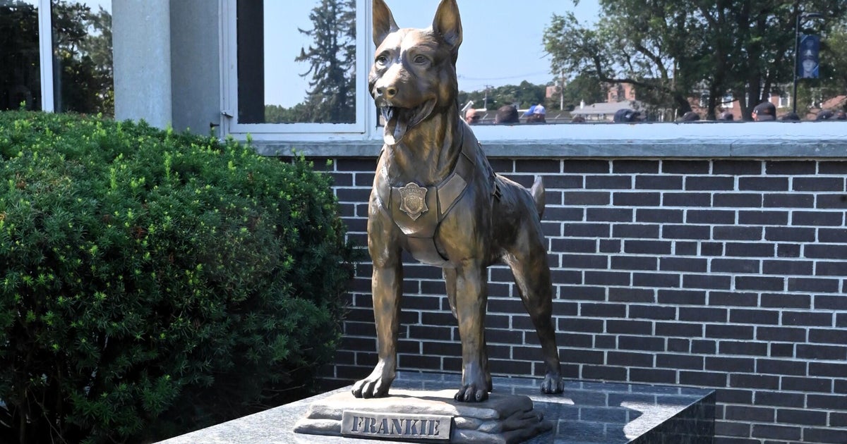 K-9 Frankie, killed in the line of duty, honored with statue in Massachusetts 