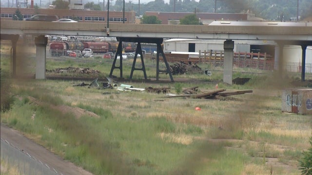 yards.jpg 