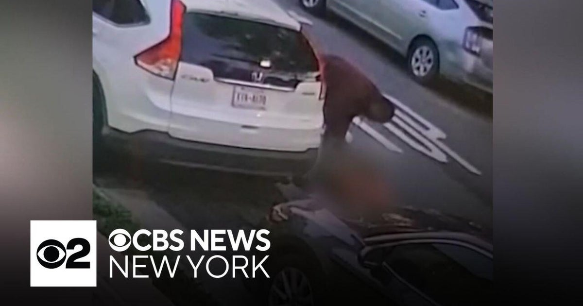 NYPD arrests man accused of setting dog on fire in Queens - CBS New York