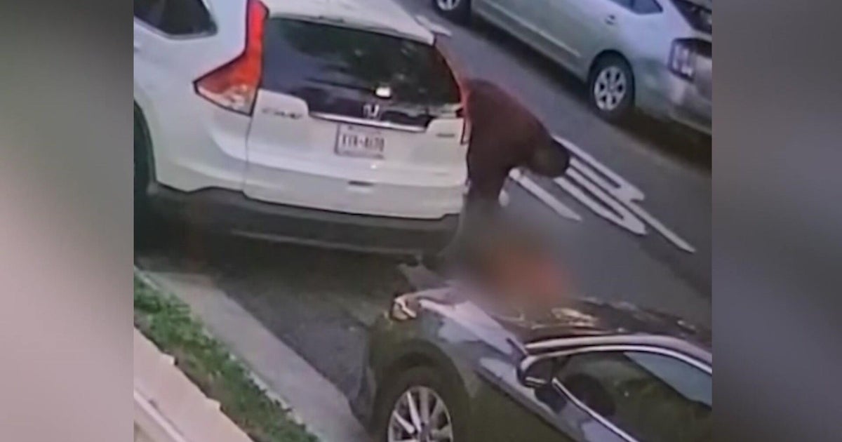 Man accused of setting dog on fire in Queens arrested 
