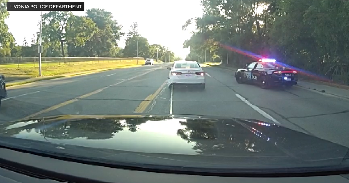 Livonia police use new grappler technology to stop drunk driver 