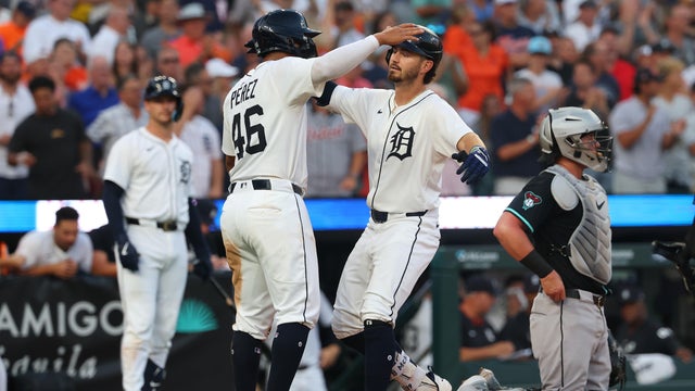 Arizona Diamondbacks v Detroit Tigers 