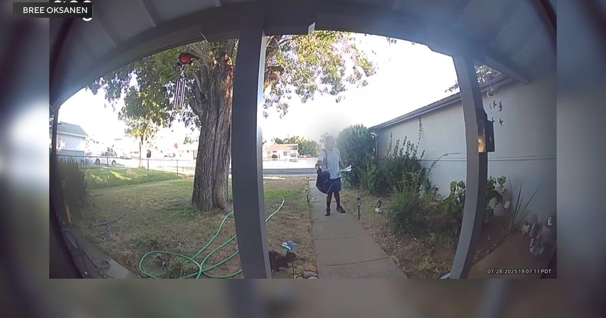 Mail carrier caught on camera pepper-spraying Rancho Cordova resident's cat 