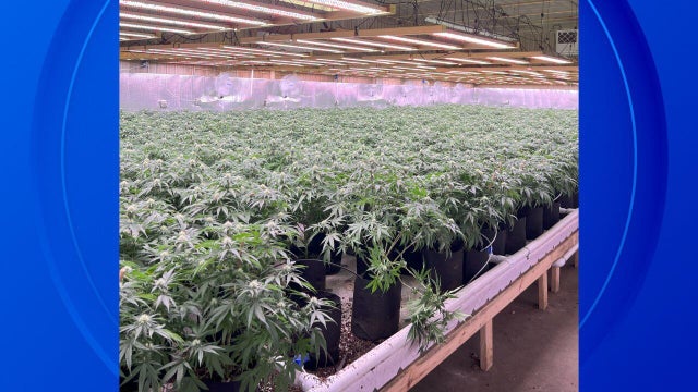 pot-grow-slider.jpg 