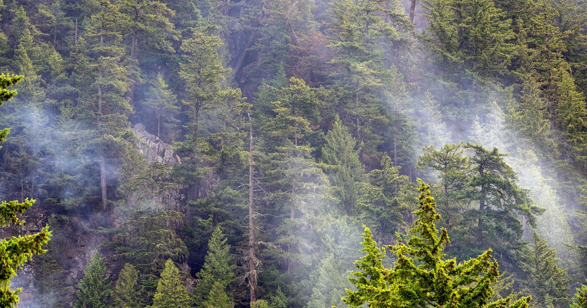 600+ American firefighters battling wildfires in Canada 