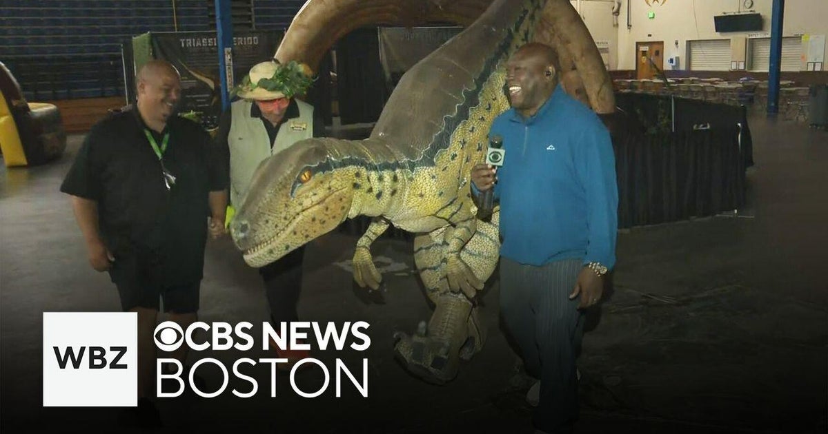 Dinosaurs come to life in wild interactive exhibit in Massachusetts