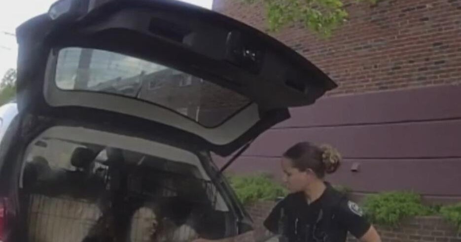 Temple police rescue several pets from hot car in North Philadelphia 