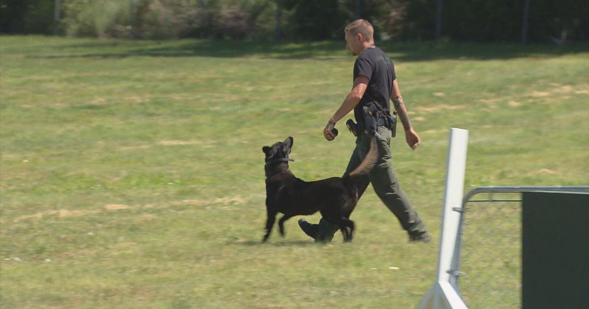 DA criticizes defense used by Jeffco Sheriff's deputy in K9 attack of girl 