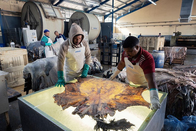 SAFRICA-US-TRADE-TARIFF-AGRICULTURE-FASHION 