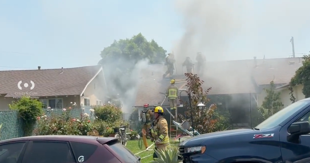Woman injured, firefighters save cat from Northridge house fire 