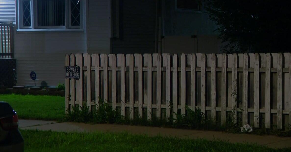 26 dogs removed from Chicago Lawn home amid animal cruelty investigation 