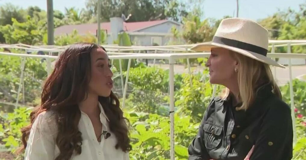 Vibrant Garden Grows In Little Haiti – CBS News