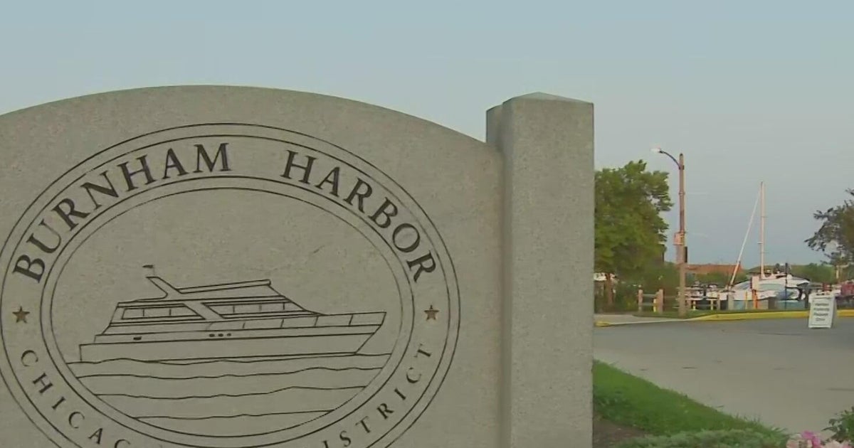 Person dies after being pulled from water on Near South Side, police say 