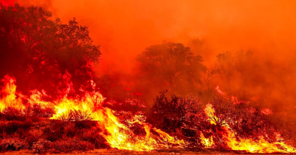 Wildfires force evacuations across Western U.S.