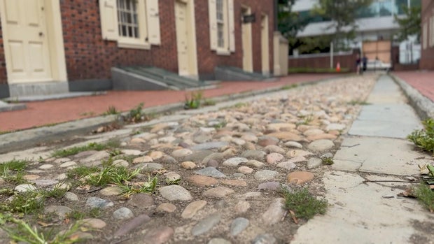 oyster-shells-used-to-pave-roads.jpg 
