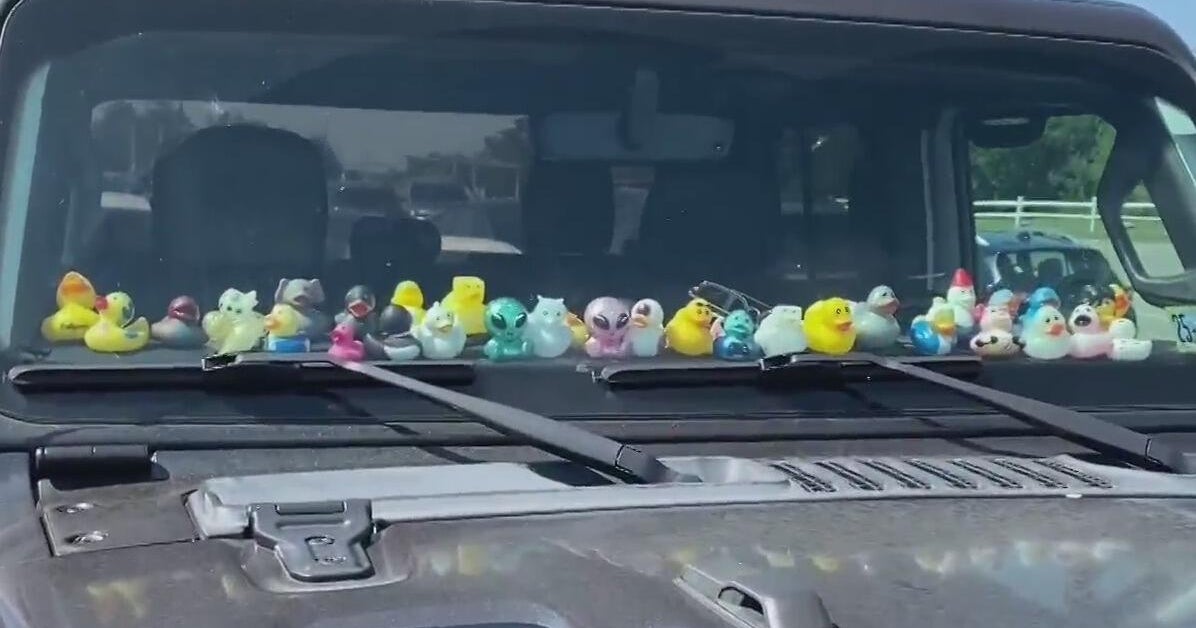 Why Do Jeep Owners Put Ducks On Their Dashboard Aesthetic Wallpaper