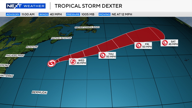 dexter-11am.png 