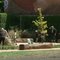 How green spaces can help get kids outside and keep them cool