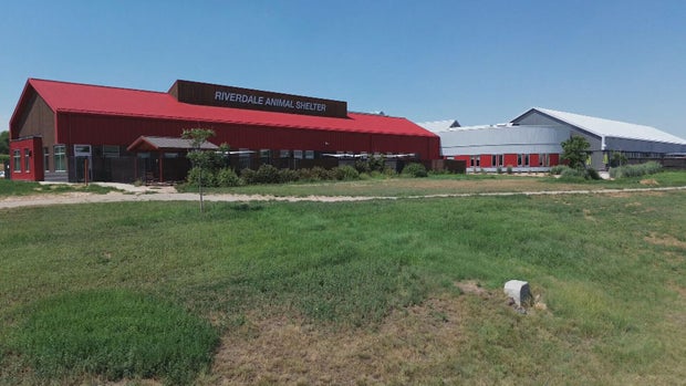 northglenn-animal-neglect-10pkg-transfer-frame-0.jpg 