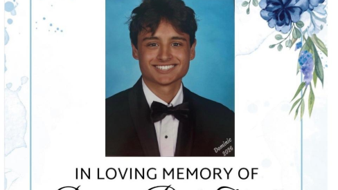 dominic2.png 