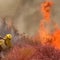 Gifford Fire burns more than 83,000 acres in California as firefighters battle to contain flames
