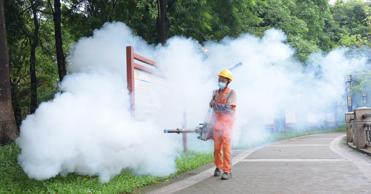U.S. warns travelers as mosquito-borne viral disease spreads in China 