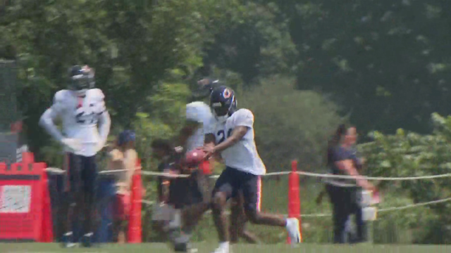 bears-camp-08-05-25.png 