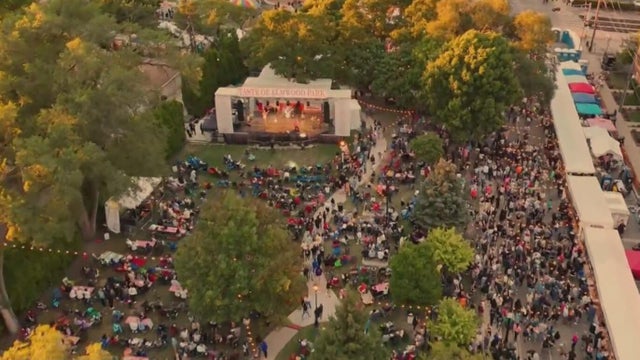 taste of elmwood park 