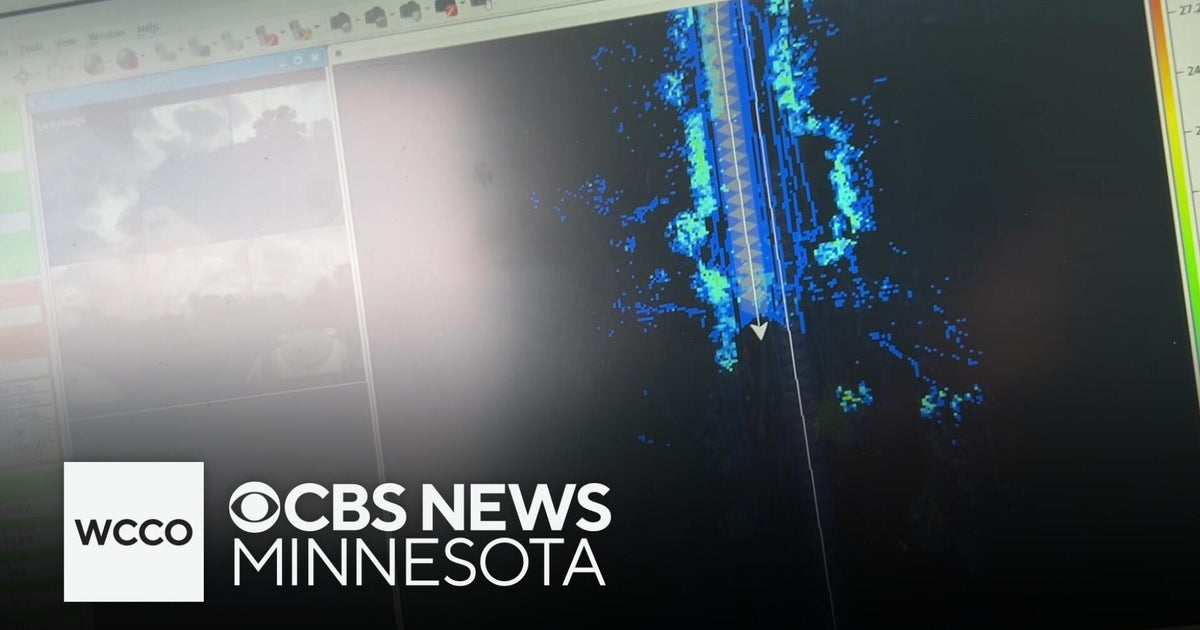 How this Minnesota city is using AI to monitor tree health