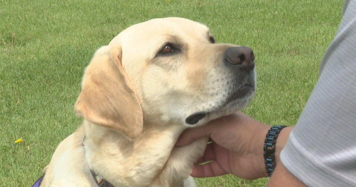 Colorado veteran says dog saved his life while he was sleeping 
