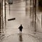 Study finds older people could face higher long-term death risk in hurricane-struck areas