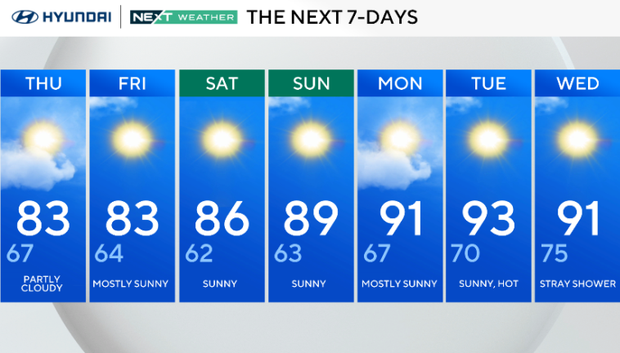 wednesday-pm-7day.png 