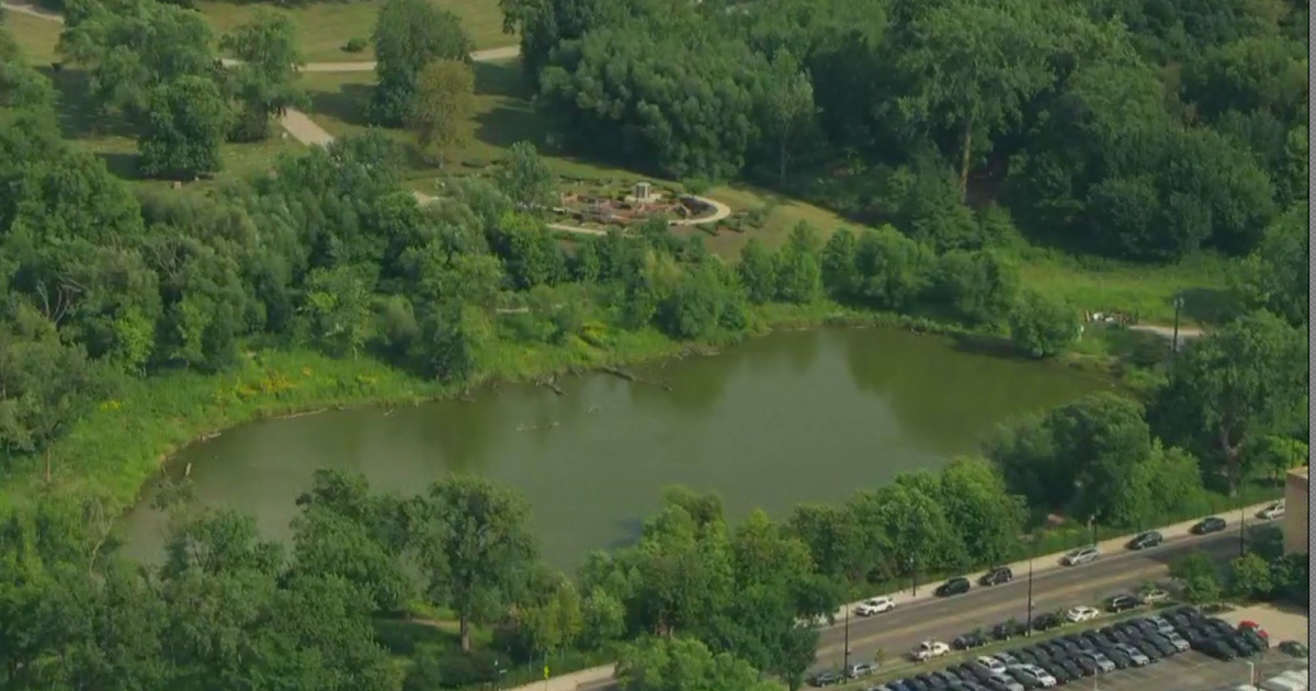 2 women groped in West Ridge Nature Park on Chicago's North Side 