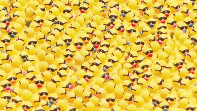 080725-ducky-derby-clean.jpg 