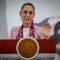 Mexico vows "no invasion" after reports of Trump targeting cartels