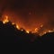 Canyon Fire explodes across nearly 5,000 acres