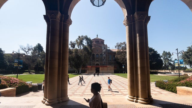 UCLA scenes 