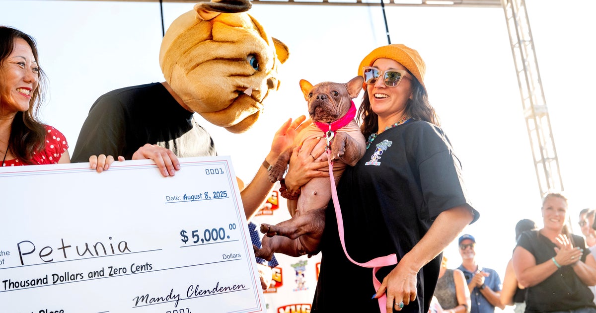 The "World's Ugliest Dog Contest" contest crowns new winner in California 
