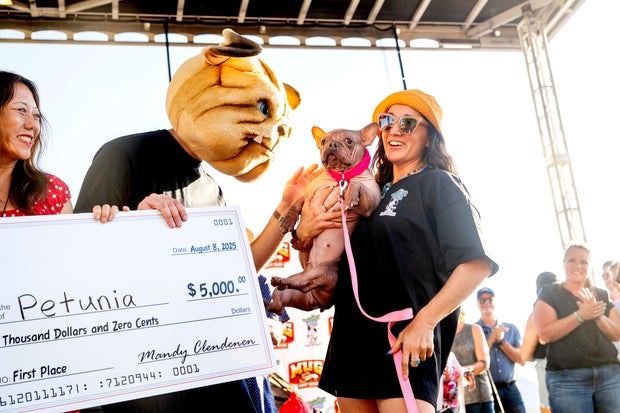Ugly Dog Contest 
