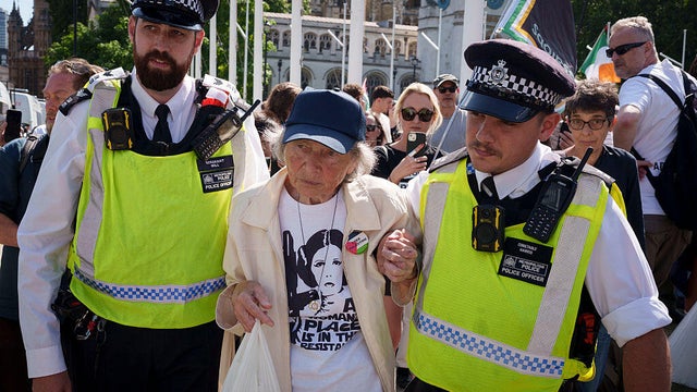 Palestine Action Protest In London 