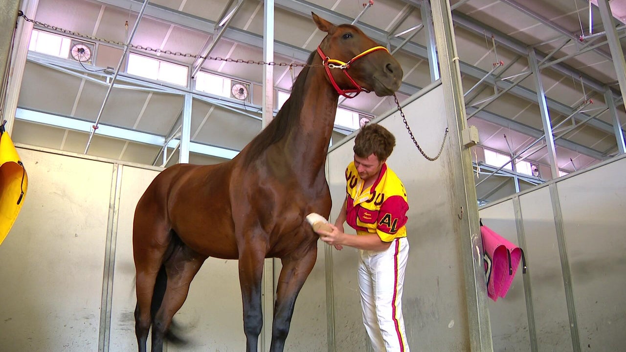 Horse Racing news - Today’s latest updates - CBS Minnesota