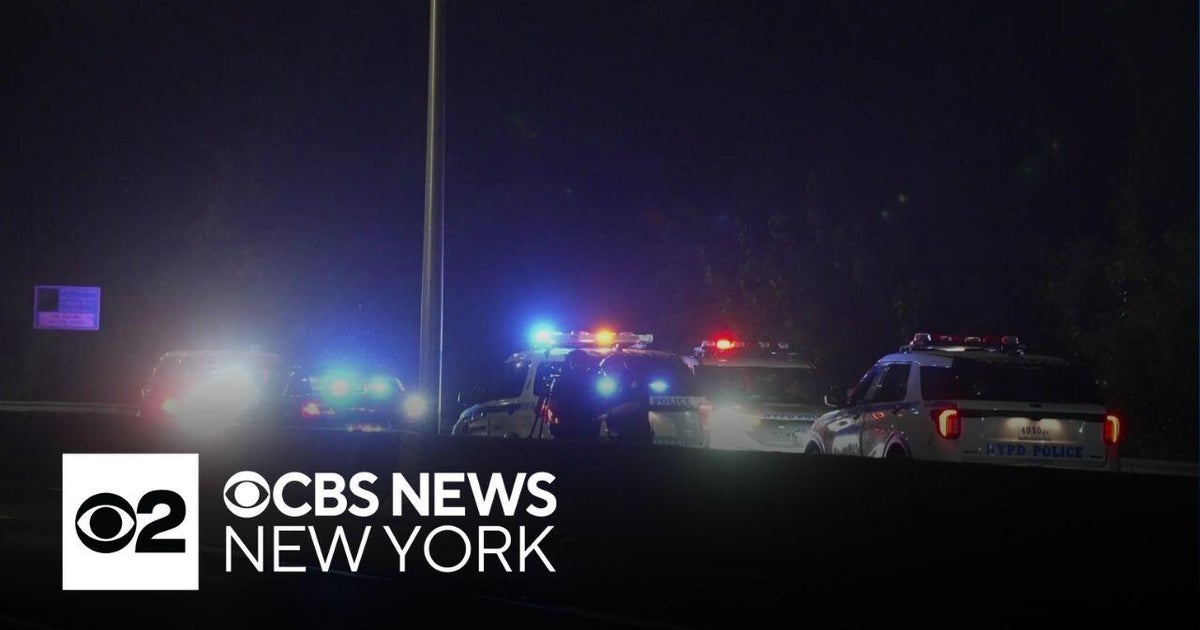 Nighttime scene on a highway showing several NYPD police SUVs and cars with flashing red, blue and white lights stopped along the side of the Bronx River Parkway. A tall lamppost is visible center-left; the roadway and background are dark.