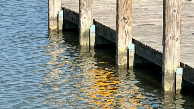 jesse-boat-launch-a.jpg 