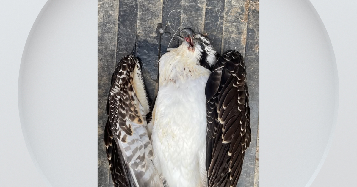 Colorado State Parks staff makes grisly discovery due to abandoned fishing line 